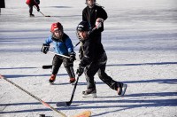 Pond Hockey 2