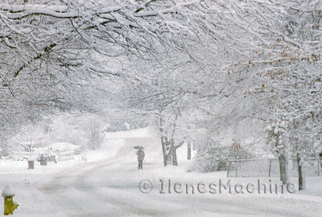 891414-R1-067-32-edt-reszemark