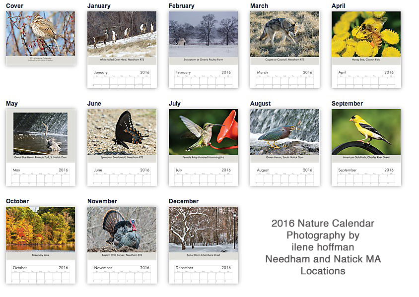 2016 Nature Calendar