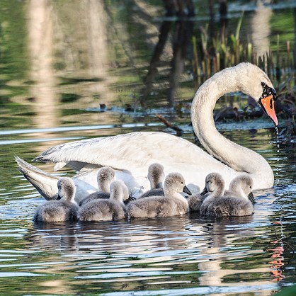 20120519_257-so-1_5x5-rgb-300px