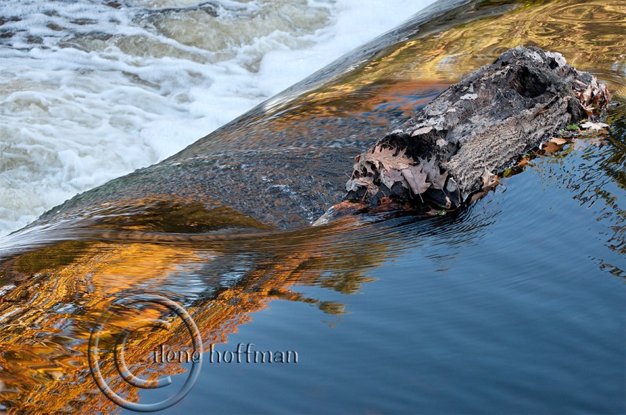 South Natick Dam With Log in Fall