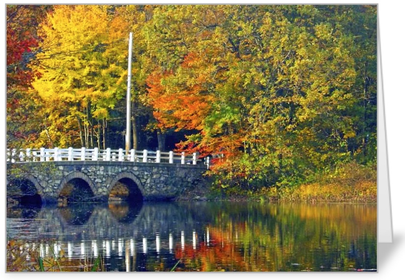 Needham Fishing Bridge Card