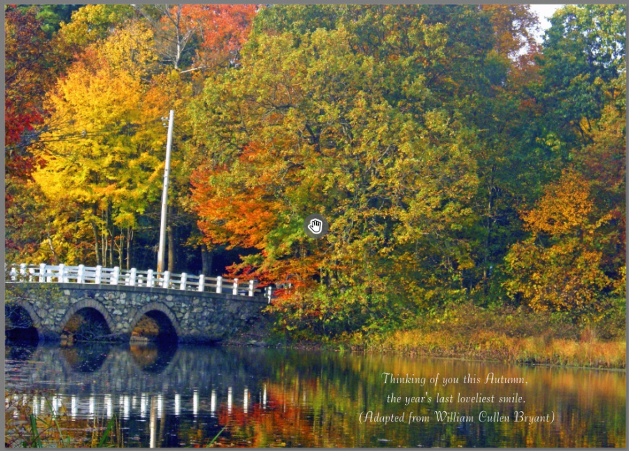 Fishing bridge quote
