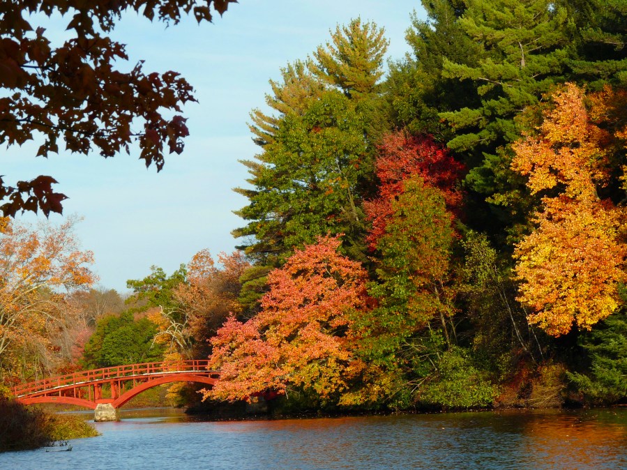 red bridge fall