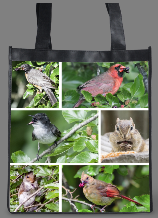 Bird bag