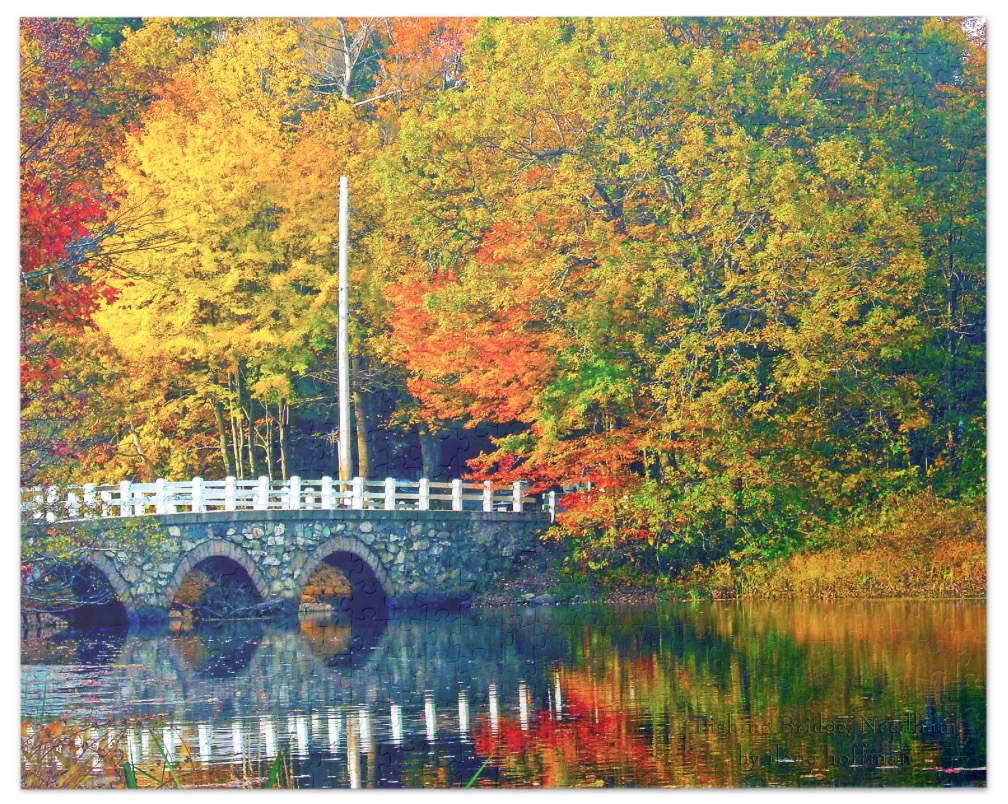 Fishing Bridge Puzzle