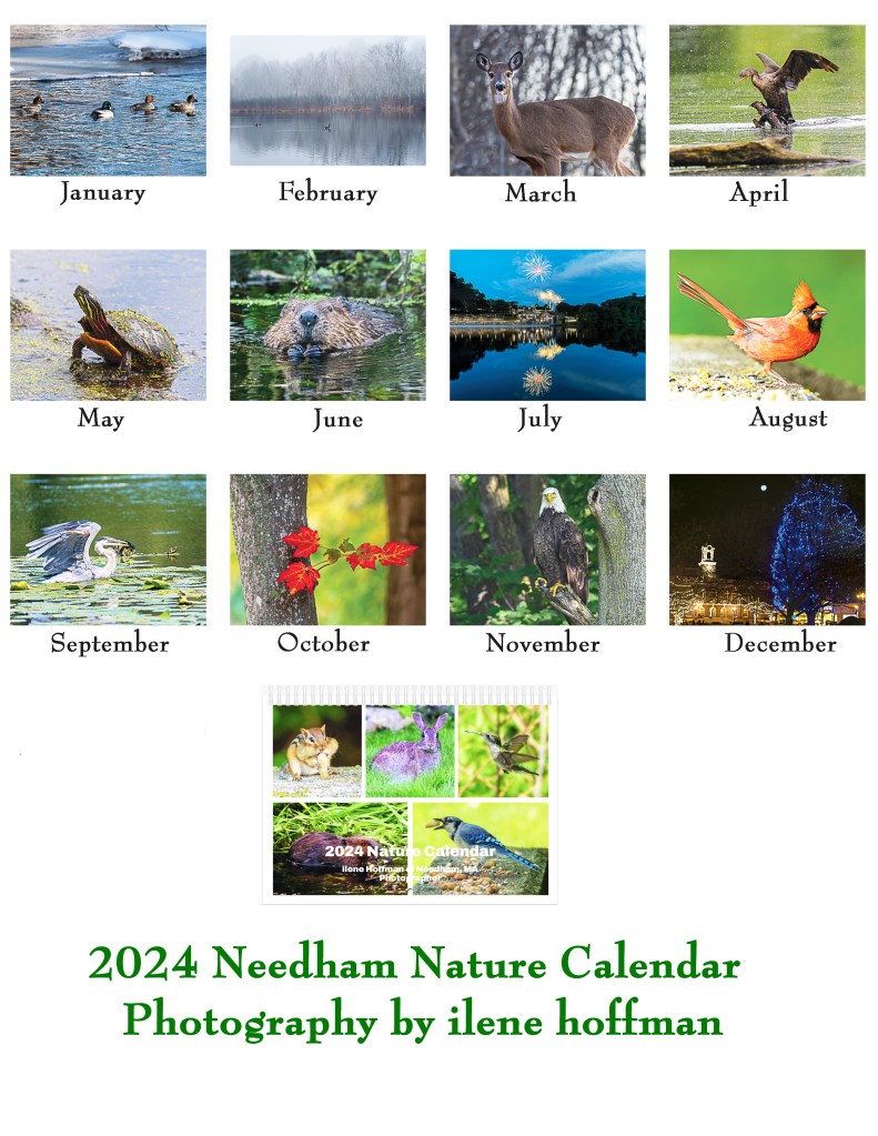 2024 Nature Calendar
